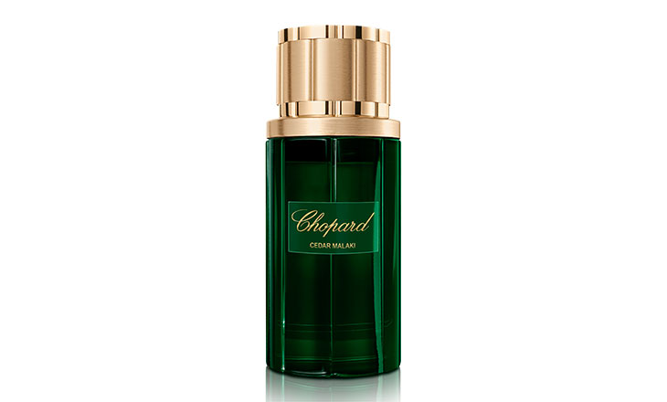 اترك انطباعاً استثنائياً في اليوم الوطني الإماراتي مع عطر CEDAR MALAKI